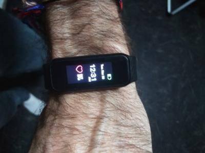 3plus elite replacement bands