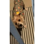 Image 2 of customer photos