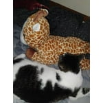 Image 3 of customer photos