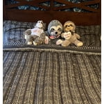 Image 3 of customer photos
