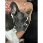 Image 7 of customer photos