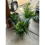 Image 5 of customer photos