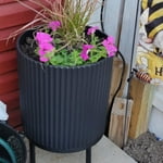 Image 7 of customer photos