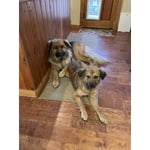 Image 1 of customer photos