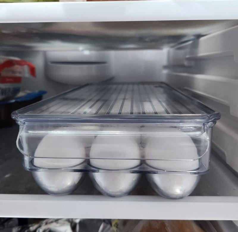 iDesign Fridge Binz BPA-Free Plastic Stackable 21 Egg Holder