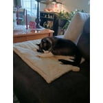 Image 4 of customer photos