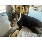 Image 2 of customer photos