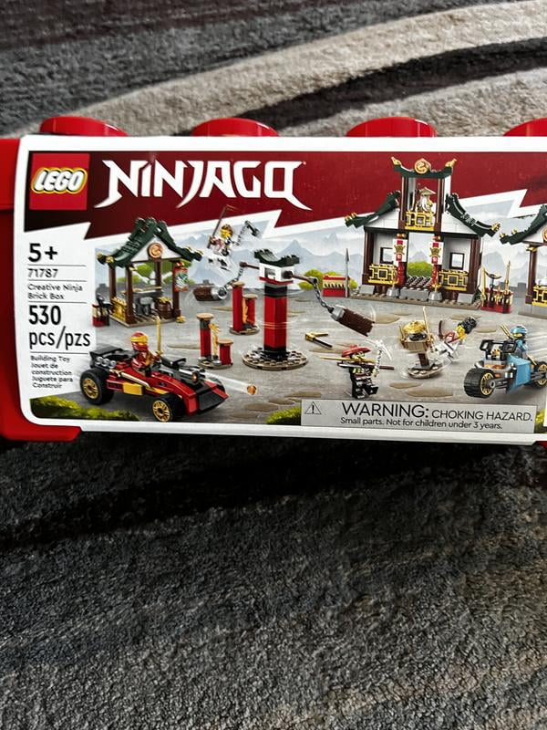 LEGO 6425925 NINJAGO Creative Ninja Brick Box 71787, Multicolor