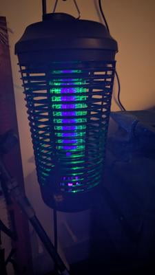 Black Flag 6500 Volt 40-Watt Max Zapper with Black UV light +