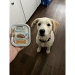 Image 6 of customer photos