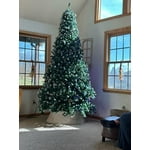 Image 3 of customer photos