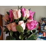 Image 1 of customer photos