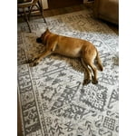 Image 6 of customer photos