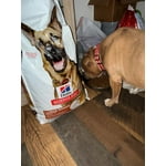 Image 4 of customer photos