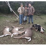 Image 2 of customer photos