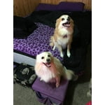 Image 6 of customer photos