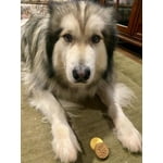 Image 1 of customer photos