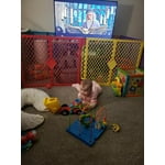 Image 2 of customer photos