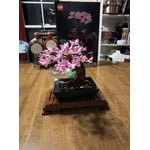 Image 7 of customer photos