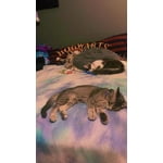 Image 3 of customer photos