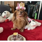 Image 1 of customer photos