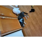 Image 2 of customer photos