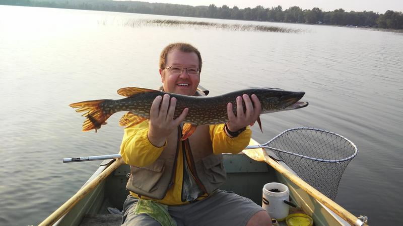 zebco bullet walmart