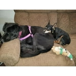 Image 2 of customer photos