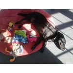 Image 2 of customer photos