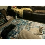 Image 2 of customer photos