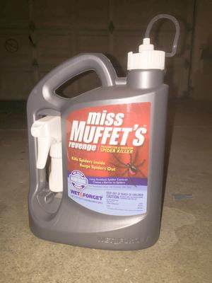 WET AND FORGET 64 oz. Liquid Spray Indoor/Outdoor Spider Killer (803064)