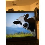 Image 5 of customer photos