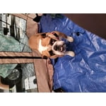 Image 4 of customer photos