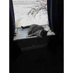 Image 7 of customer photos