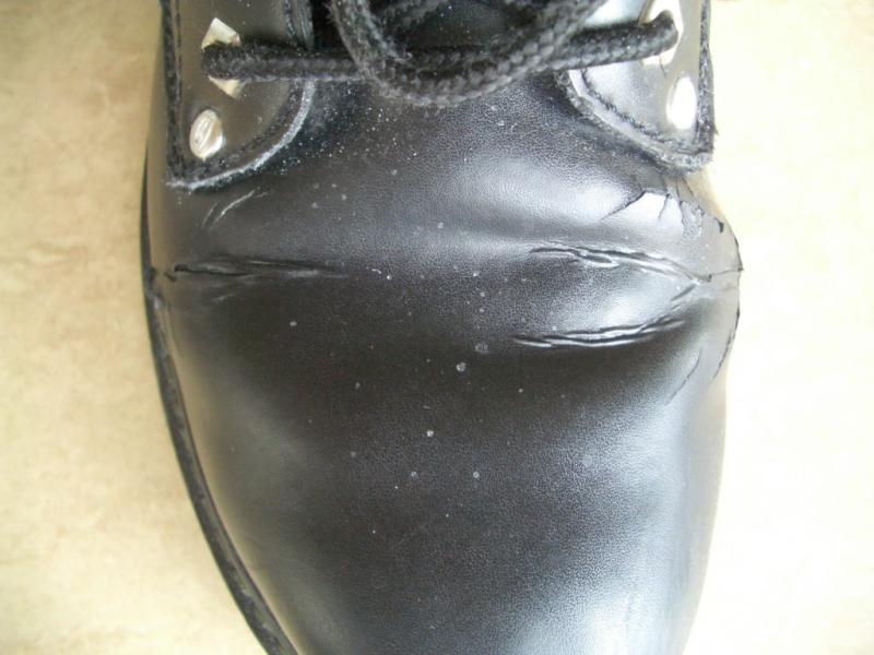 skechers alley cat shoes