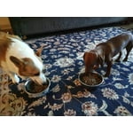 Image 6 of customer photos