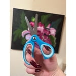 Image 7 of customer photos