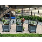 Image 4 of customer photos