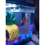 Image 5 of customer photos