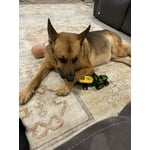 Image 5 of customer photos