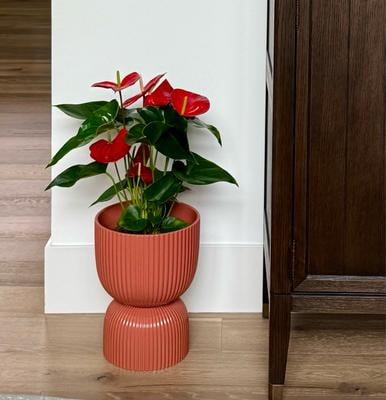 Mainstays Ceramic Fulted Plant Pot, 10 inch Diameter, Red Indoor