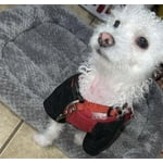 Image 3 of customer photos