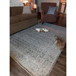 Image 4 of customer photos