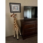 Image 2 of customer photos