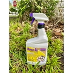 Image 7 of customer photos