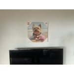 Image 7 of customer photos