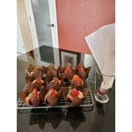 Image 7 of customer photos