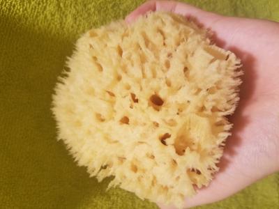 WHOA BABY! Ultra Soft & Gentle Small Sea Wool Bath Sponge