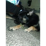 Image 5 of customer photos