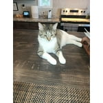 Image 6 of customer photos